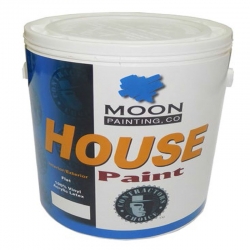 Pintura de Caucho Tipo A Marca Moon Blanco Ferreteria